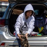 Une jeune fille et son chat évacués dans le Saskatchewan. KEYSTONE/AP/Liam Richards
